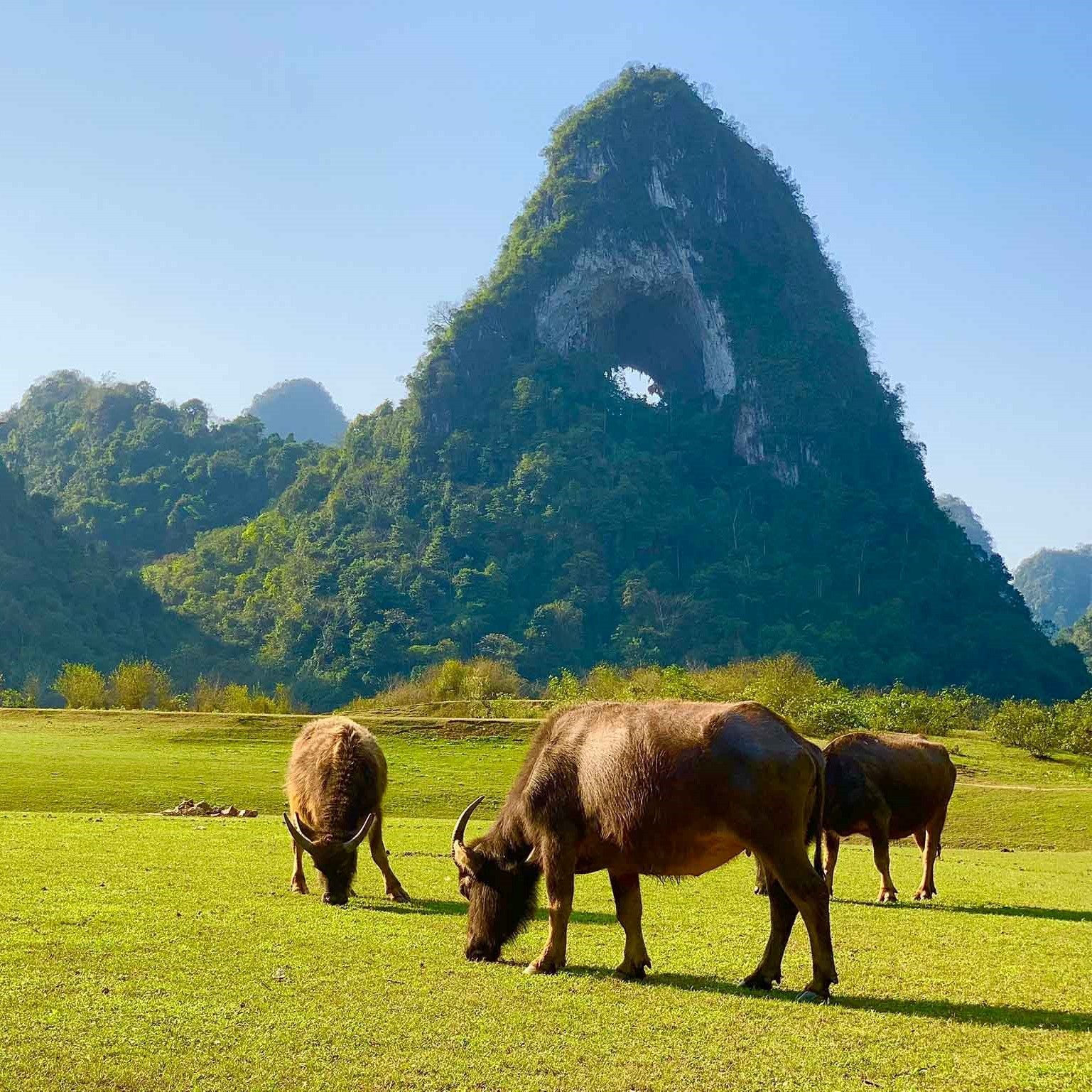 Cao Bang