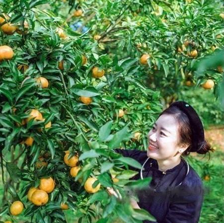 Bac Son (Lang Son Province)