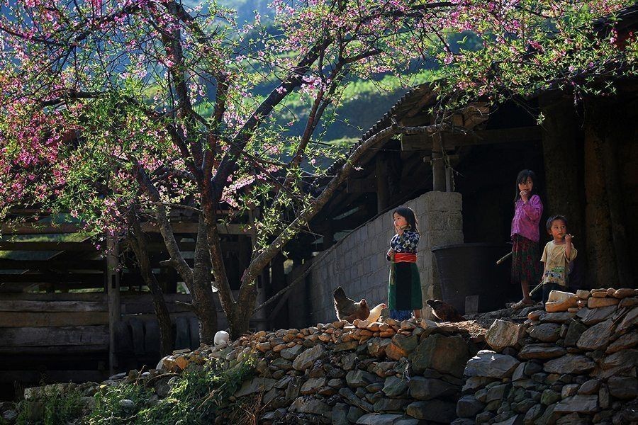 NORTHEAST VIETNAM - 5 DAYS 4 NIGHTS