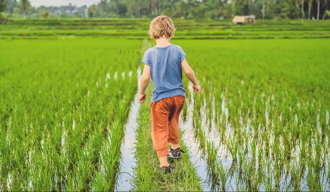 VIETNAM FAMILY FUN - 14 DAYS 13 NIGHTS