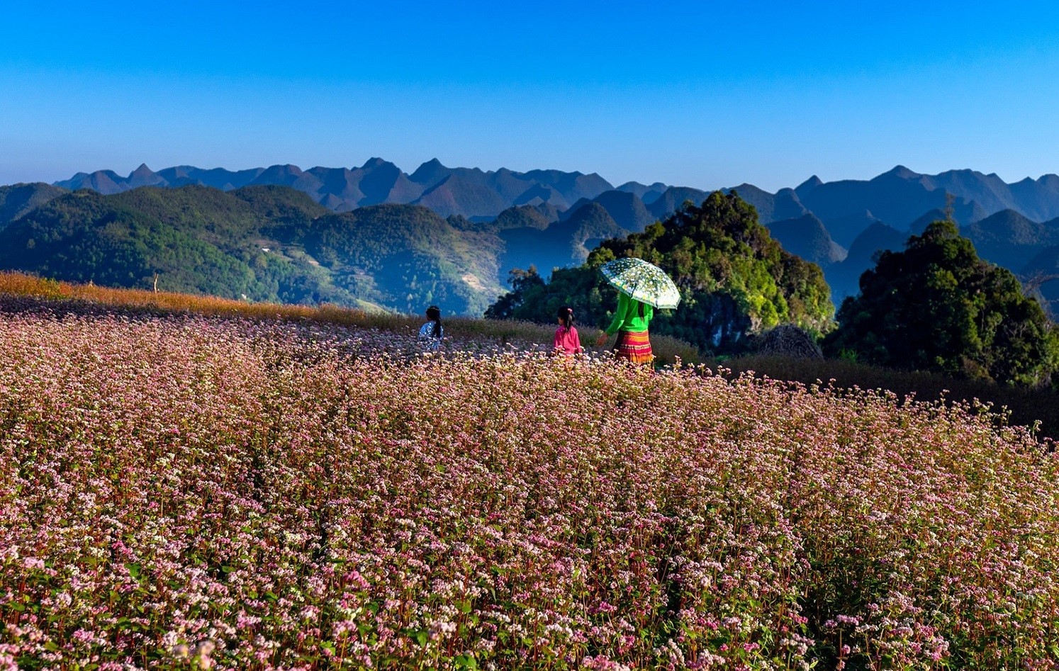 HA GIANG ROCKY MOUNTAIN - 4 DAYS 3 NIGHTS
