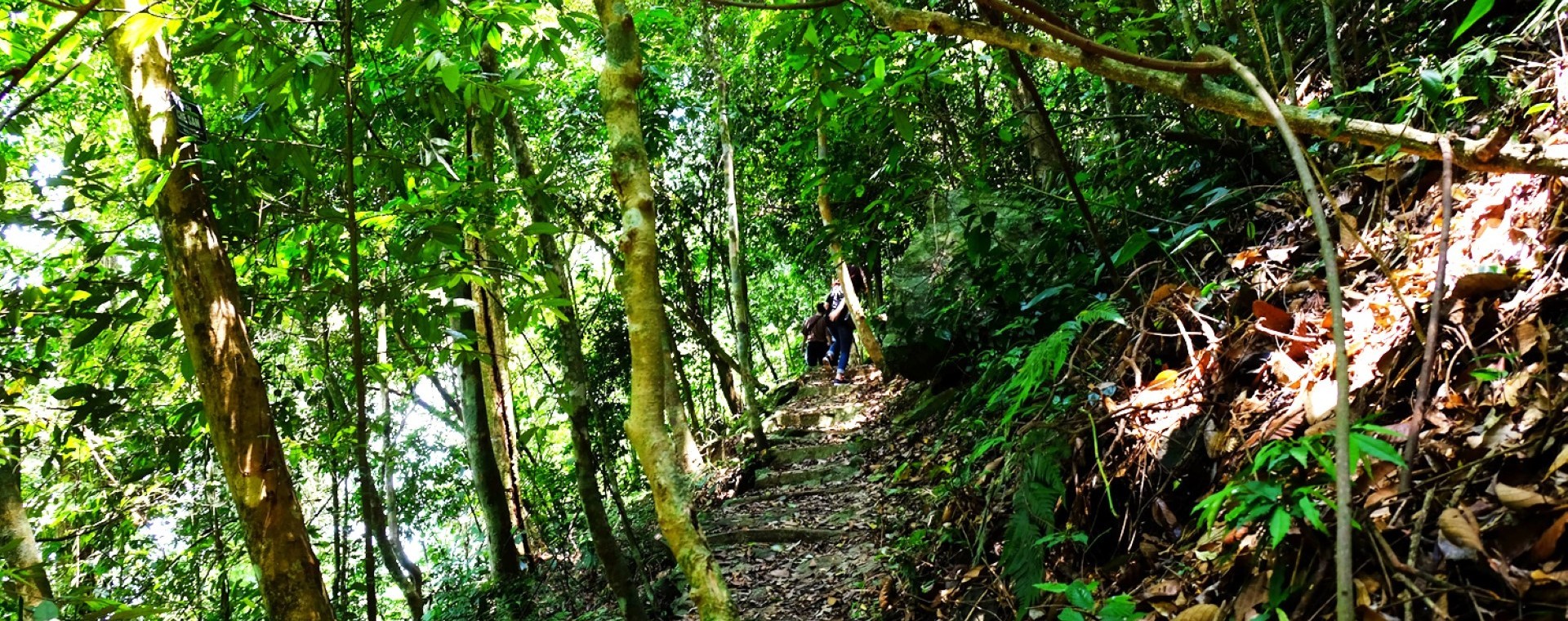 BA VI JUNGLE TREKKING 1 DAY