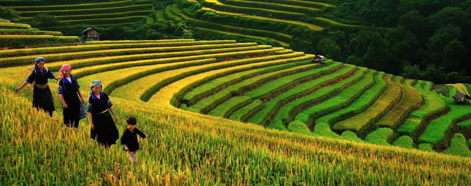 SAPA TREKKING - 3 DAYS 3 NIGHTS